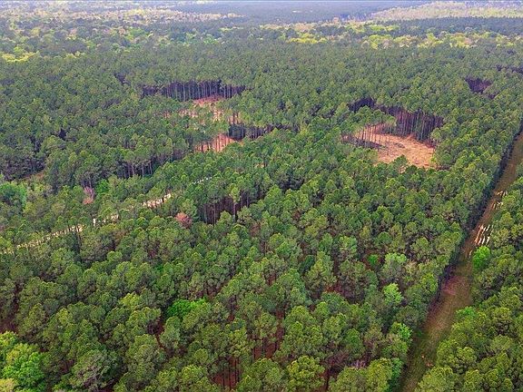 3rd image of 16201 Rustric Ranch Rd