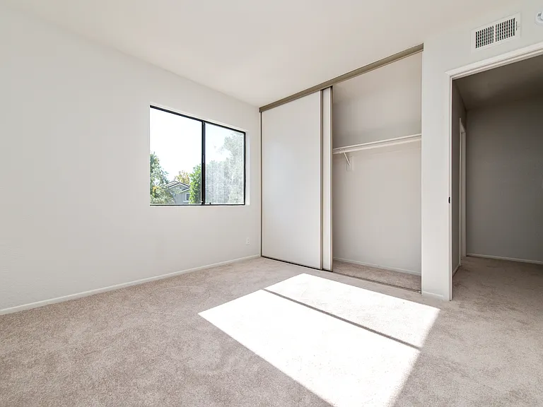 24 Silkberry — Photo 20