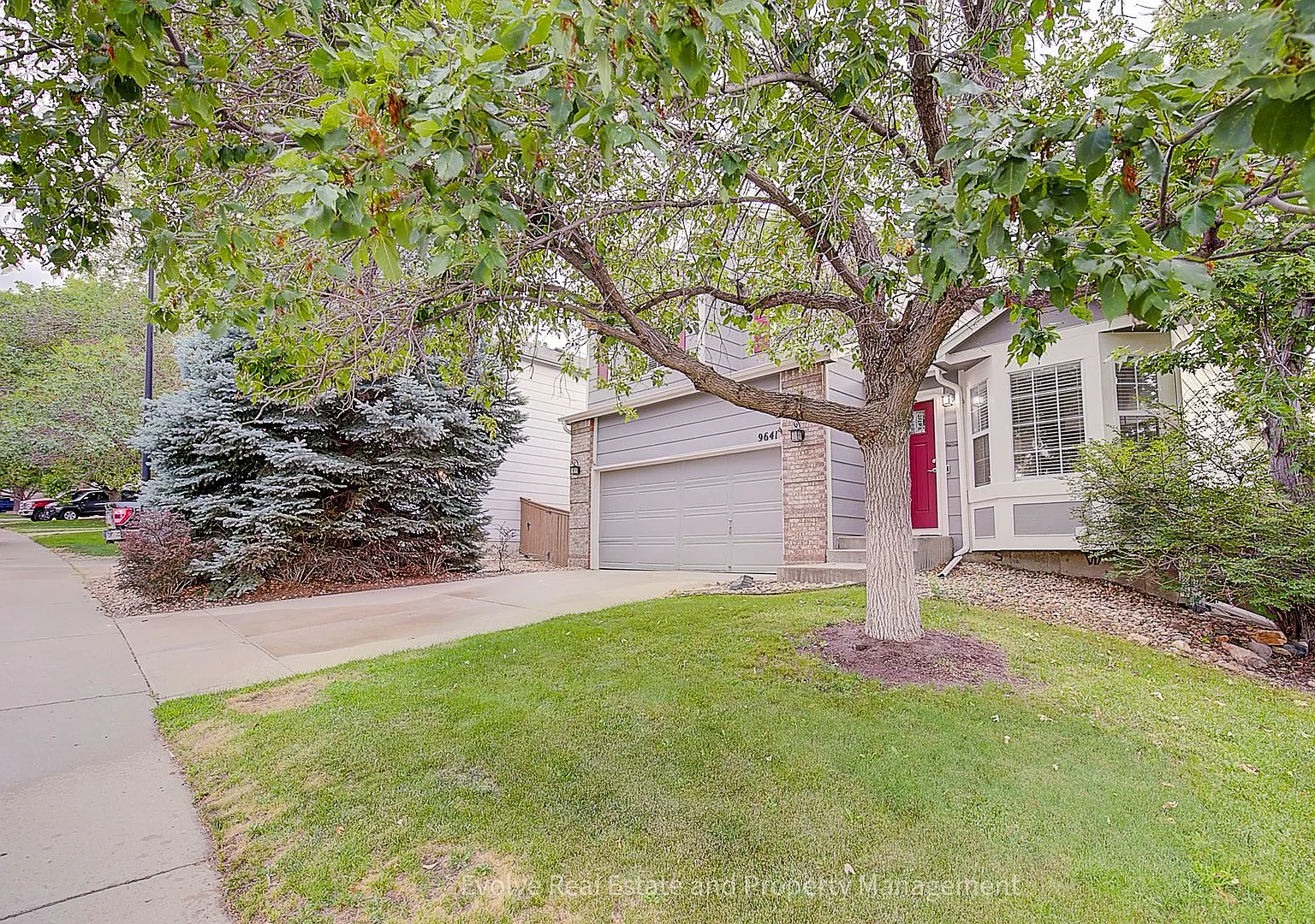 Evolve Real Estate: 4 Bedroom West Highlands Ranch Available Immediately! — Photo 3