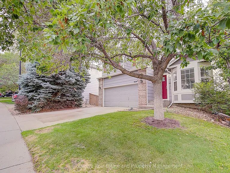 9641 Cove Creek Dr — Photo 3