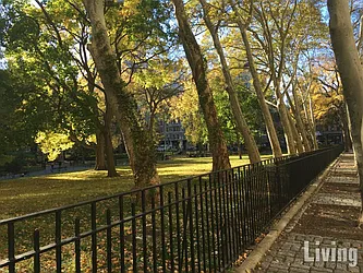 Rented by Living New York