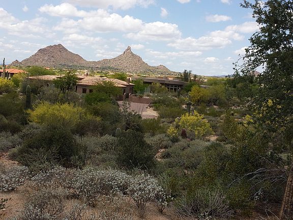 SW view -Backyard