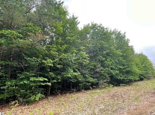 Montgomery Rd SW, South Boardman, MI 49680