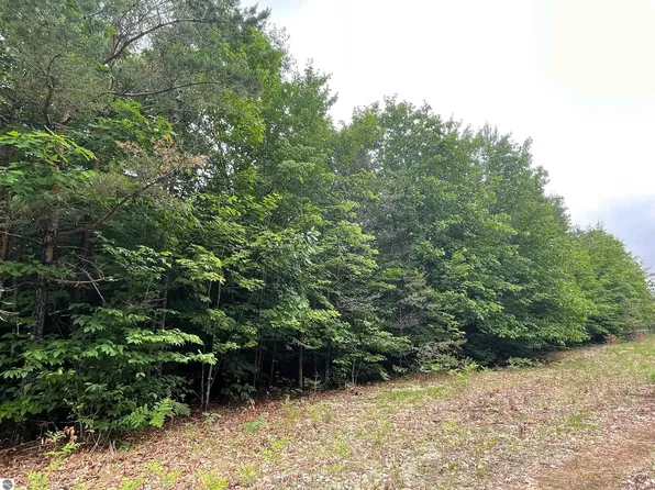Montgomery Rd SW, South Boardman, MI 49680