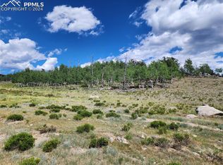2596 Ute Trce, Hartsel, CO 80449