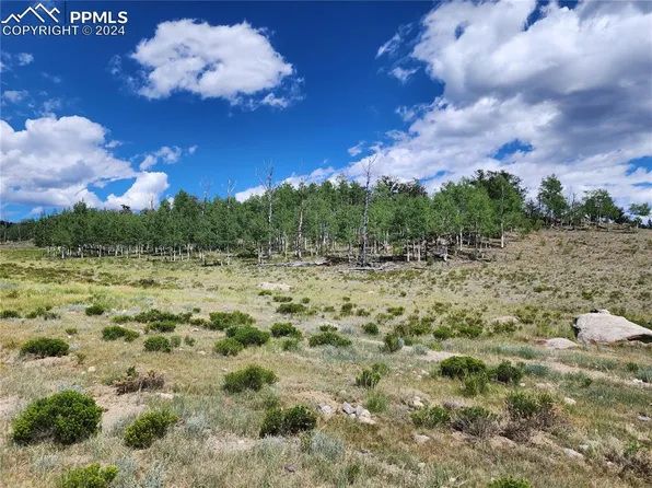 2596 Ute Trce, Hartsel, CO 80449