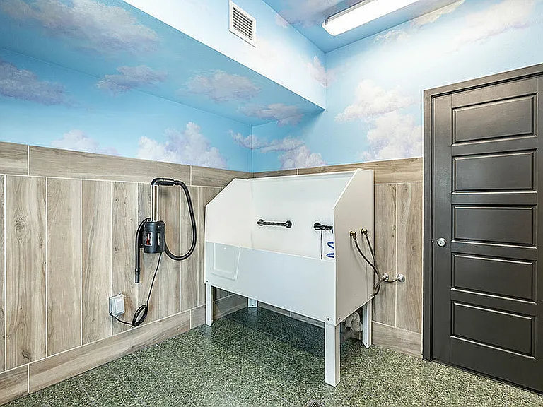 Explore the convenience of this chic pet grooming area, designed for ease and style.