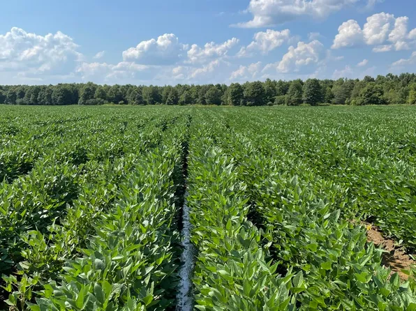 Straight Bayou Rd, Anguilla, MS 38721