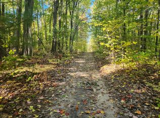 E Grand Blvd, Topinabee, MI 49791