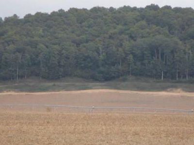 Sand Hill Rd, Alba, MI, 49611