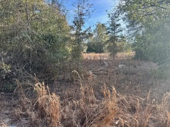 0 NW 5th Ave, Branford, FL 32008