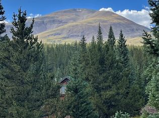 410 Ansley Ave, Alma, CO 80420