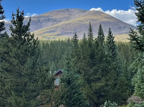 410 Ansley Ave, Alma, CO 80420