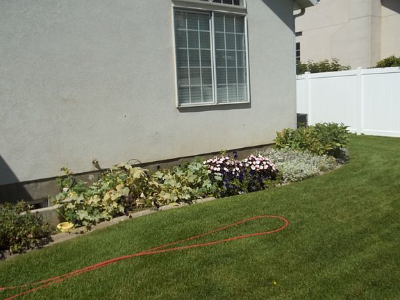 North East BackYard