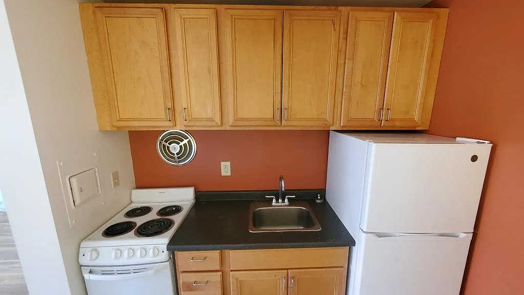 1 bed, 485 sqft, $1,350 — Photo 4