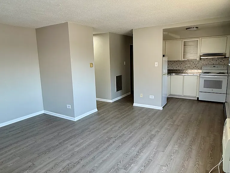 1121 N Ogden St #205 — Photo 10