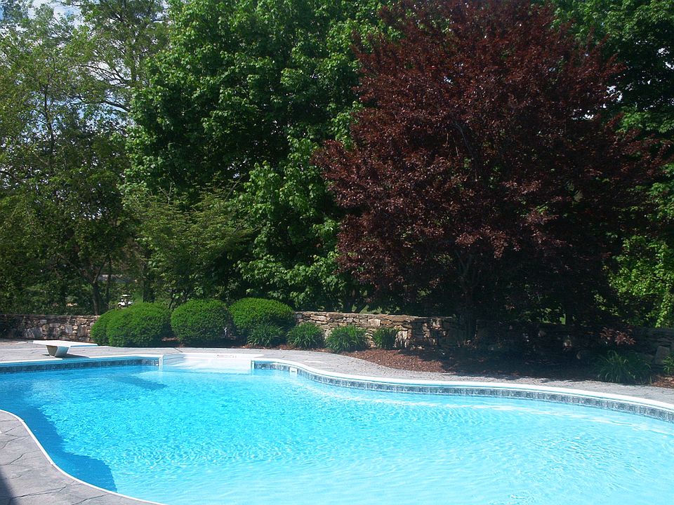 Beautiful backyard oasis