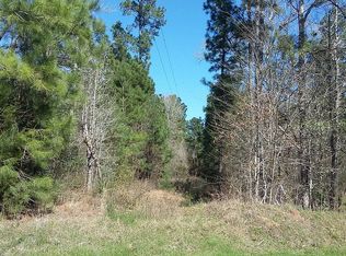 73 Hawthorne Rd, New Waverly, TX 77358