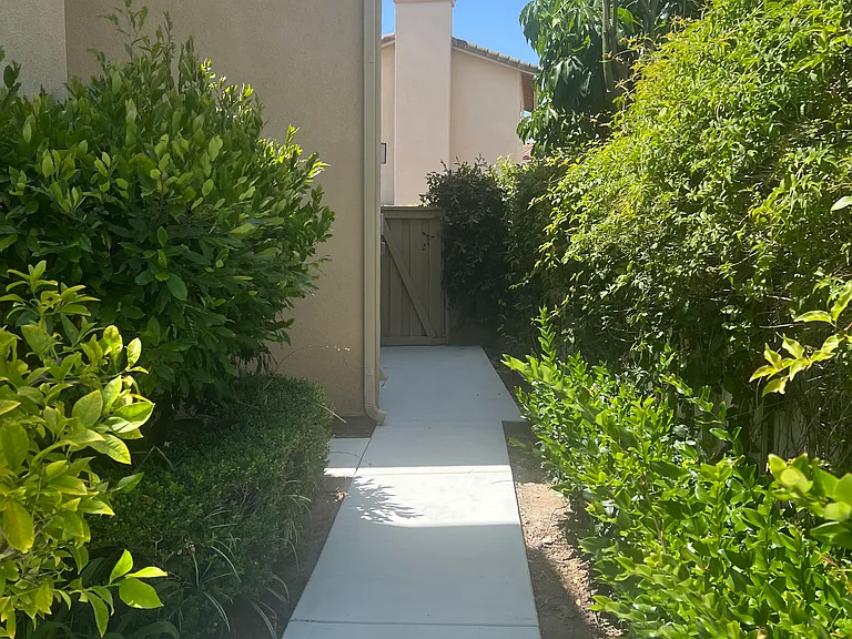 5 Wedgewood — Photo 15