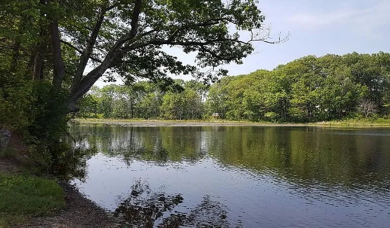 Scenic riverviews