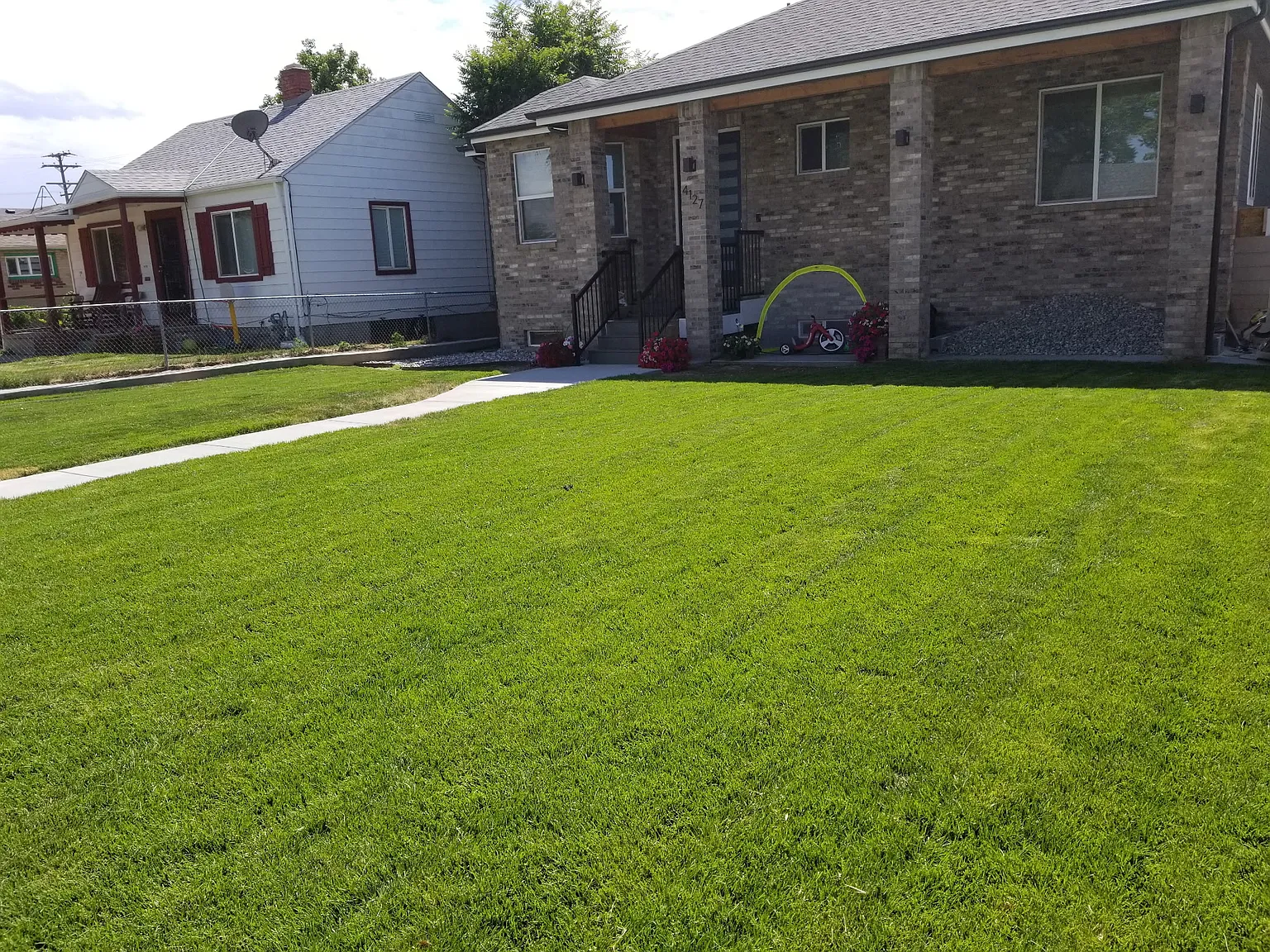 3 bed, 1814 sqft, $975 — Photo 1
