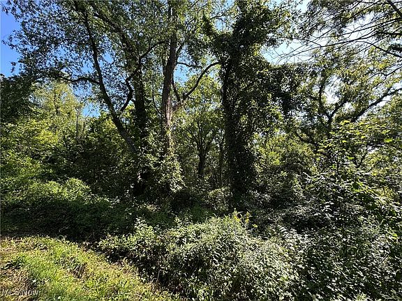 5th image of 76 County Road 1100