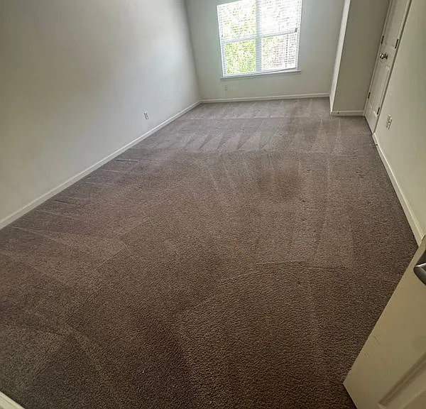 2901 Emme Ct — Photo 3