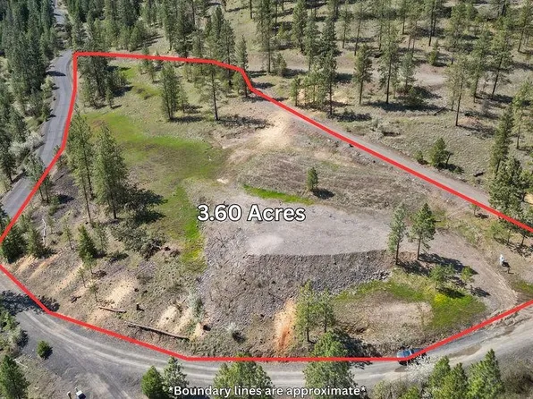 31640 Ringneck Ln E Lot 3, Davenport, WA 99122