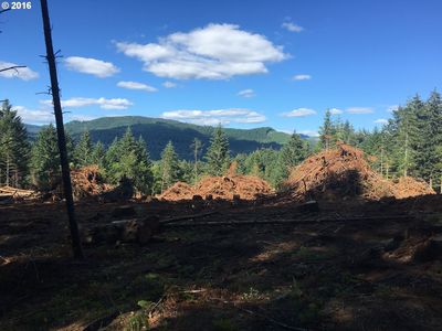 35980 Shoreview Dr, Dorena, OR, 97434