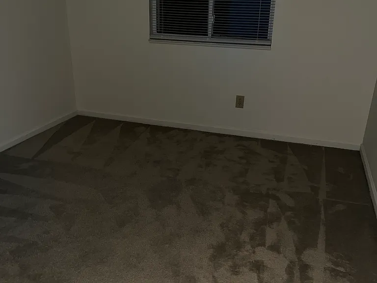 4617 Falcon Run Way — Photo 10