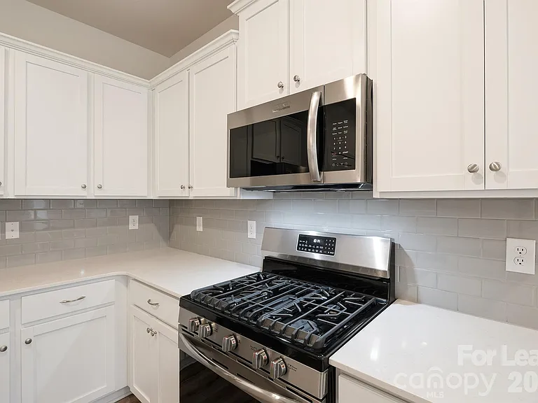 162 White Apple Way — Photo 8