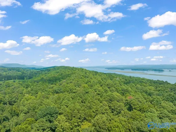 Pin33002 McCamey Rd, Scottsboro, AL 35769
