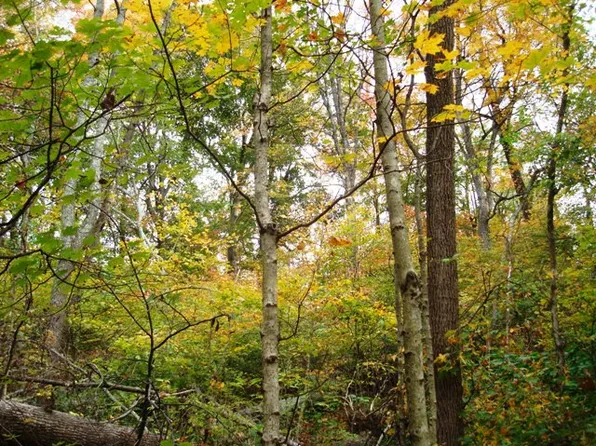 8425 Rolling Hills Dr, Nashville, TN 37221