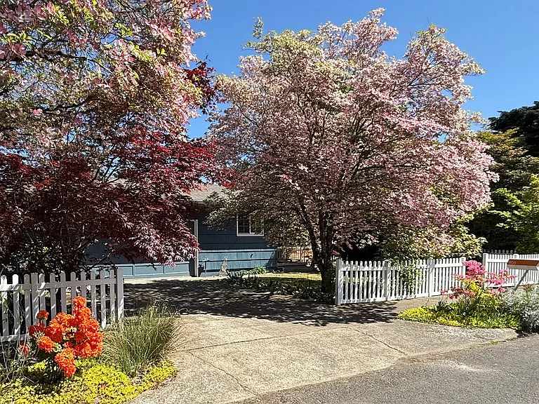 906 SE 165th Ave — Photo 4