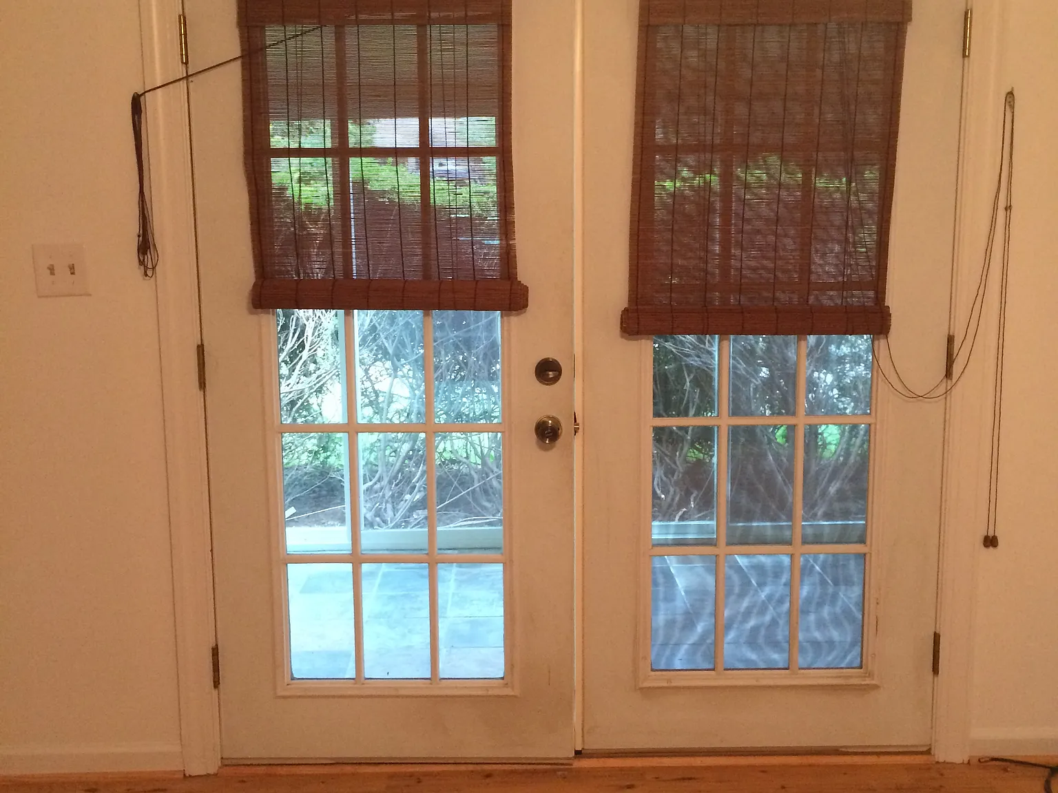 1 bed, $1,250 — Photo 3