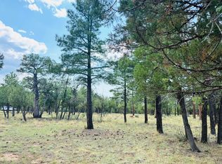 3266 Durango Dr, Happy Jack, AZ 86024