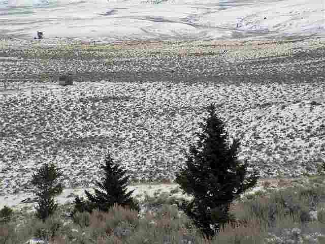 1st image of 10 Yellowstone Basin