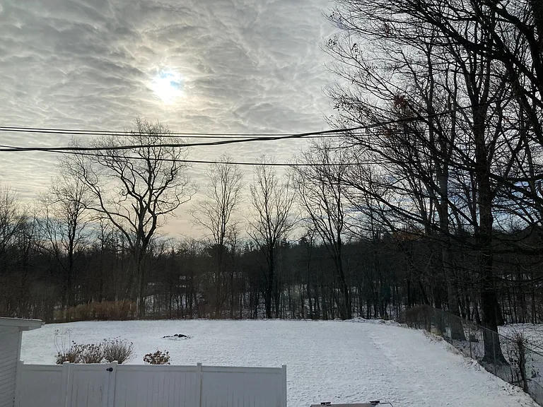 View from back window