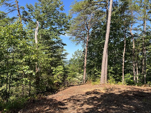 2nd image of 0 Old Skyline Dr Lot 205