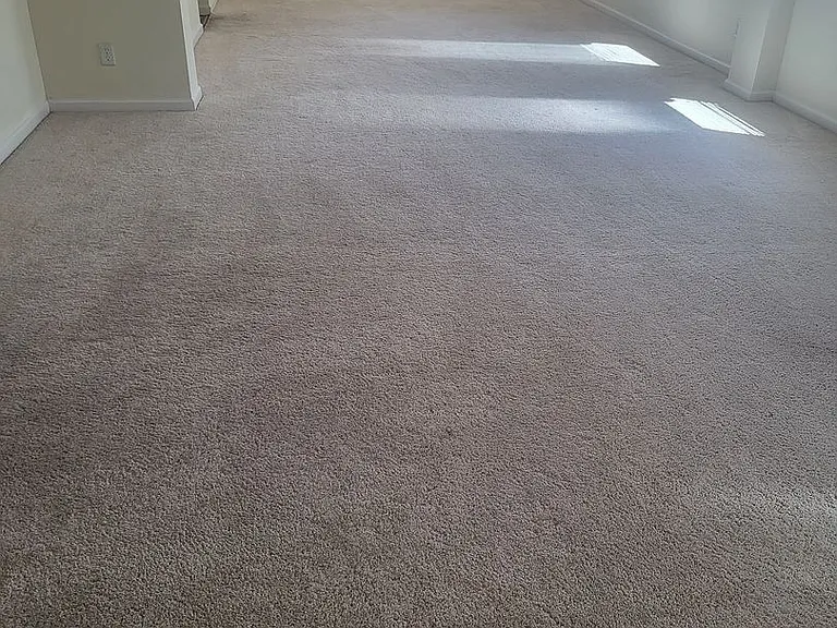 5049 Pine Lake Ct — Photo 94