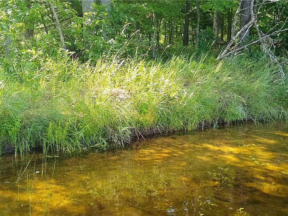 4th image of 0 (Lot 11) W Bass Lake Road
