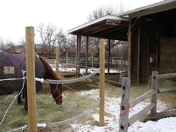 Horse and Hay shelter