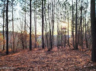 T27 W Robbins Rd, Robbins, TN 37852