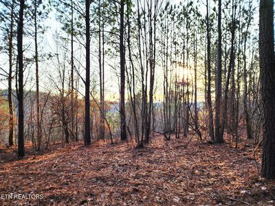 T27 W Robbins Rd, Robbins, TN, 37852