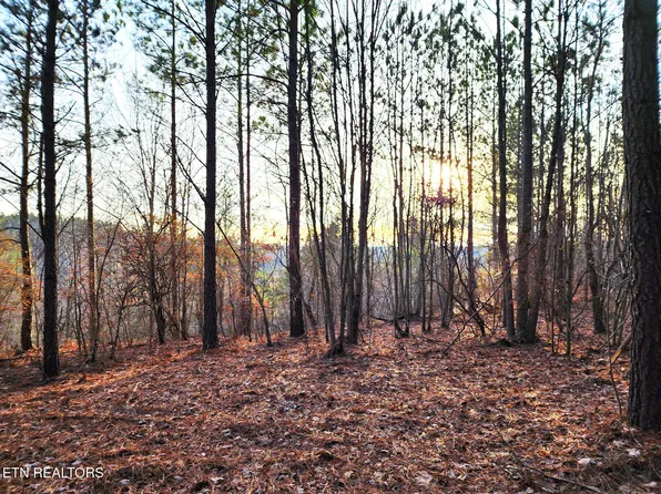 T27 W Robbins Rd, Robbins, TN 37852