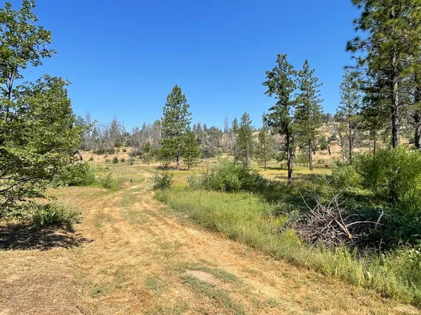 34344 Shaver Springs Rd, Auberry, CA 93602