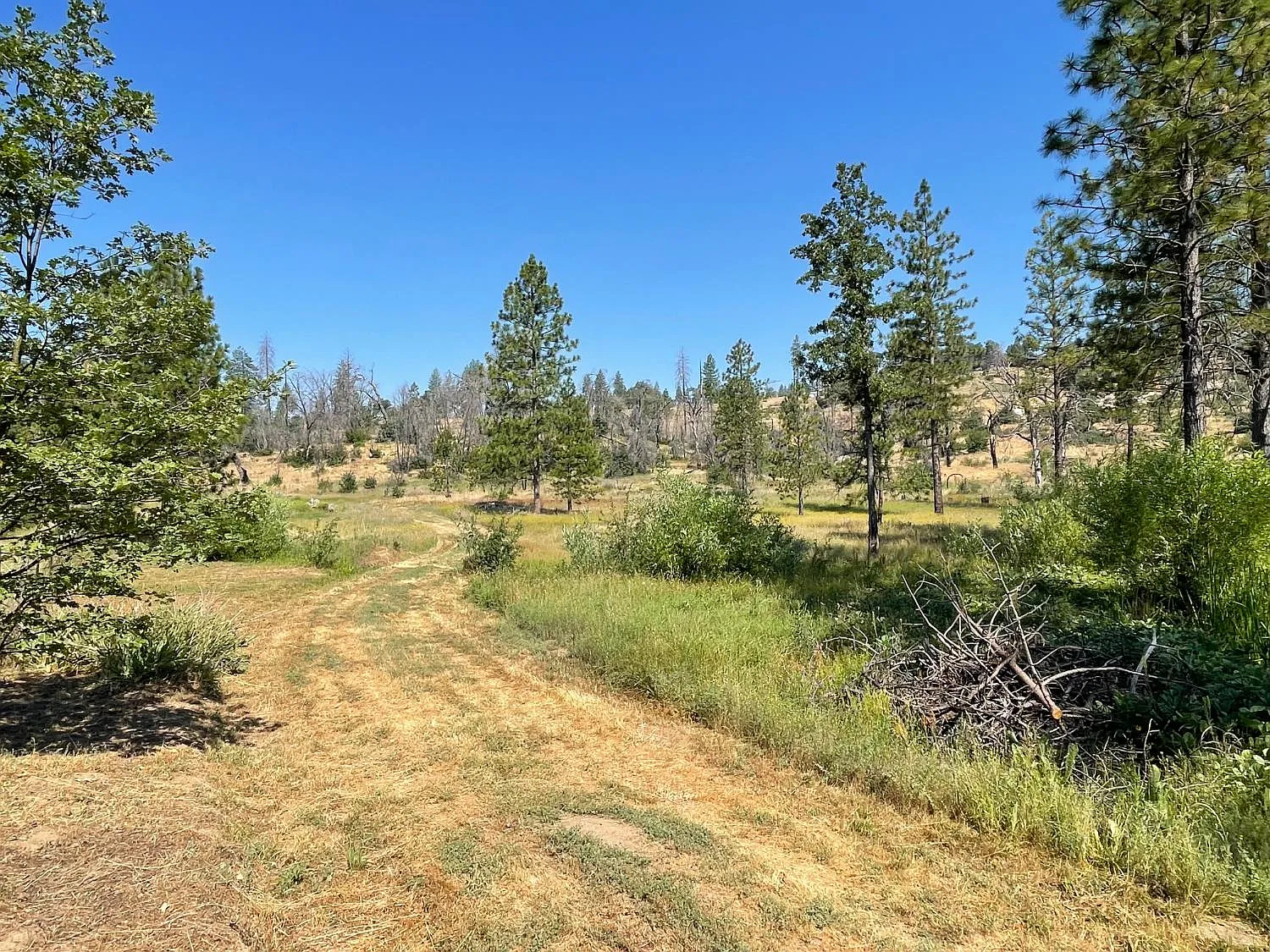 34344 Shaver Springs Rd photo 1