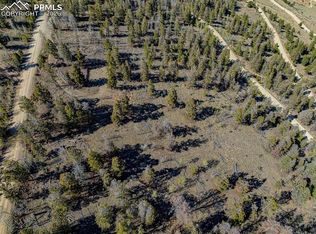 5302 Middle Fork Vis, Fairplay, CO 80440