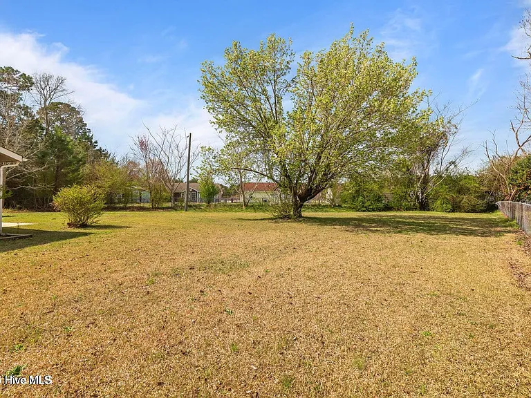 1019 Blue Leaf Pl — Photo 39