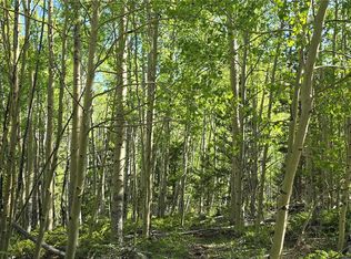 LOT 6708 Debbie Rd, Fort Garland, CO 81133